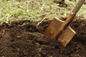 shot of digging at allotment. Close-up, Concept of gardening